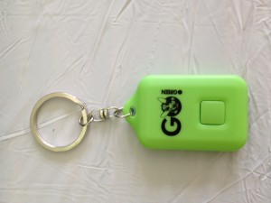 Our gift the class of 2017; solar keychain lights