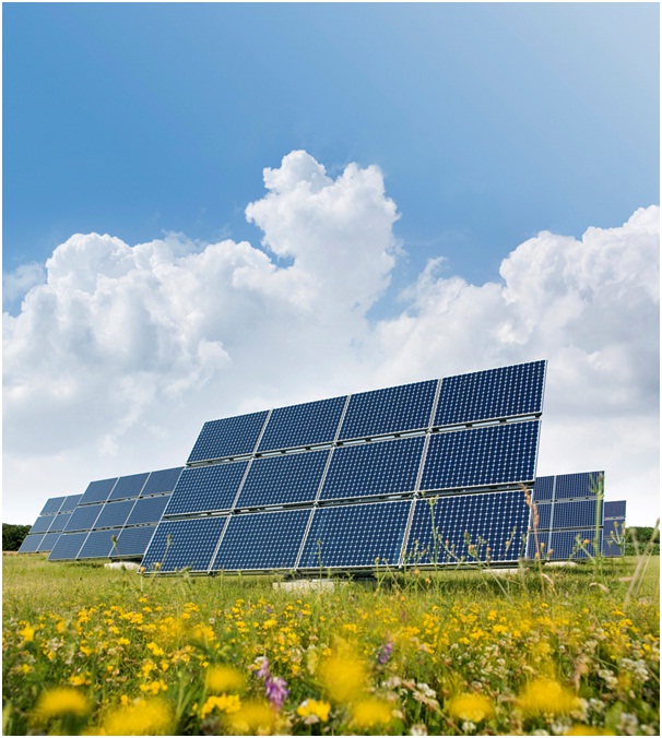Happy Birthday Electric Production Solar Panels! The Green Dandelion