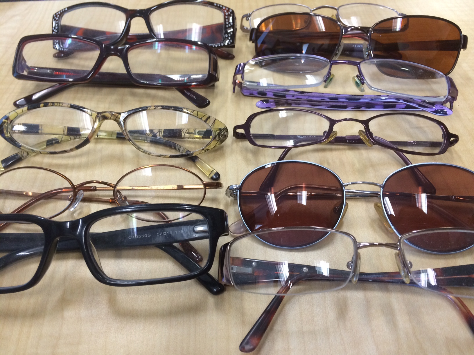 Eyeglasses Collection Program a Success – The Green Dandelion