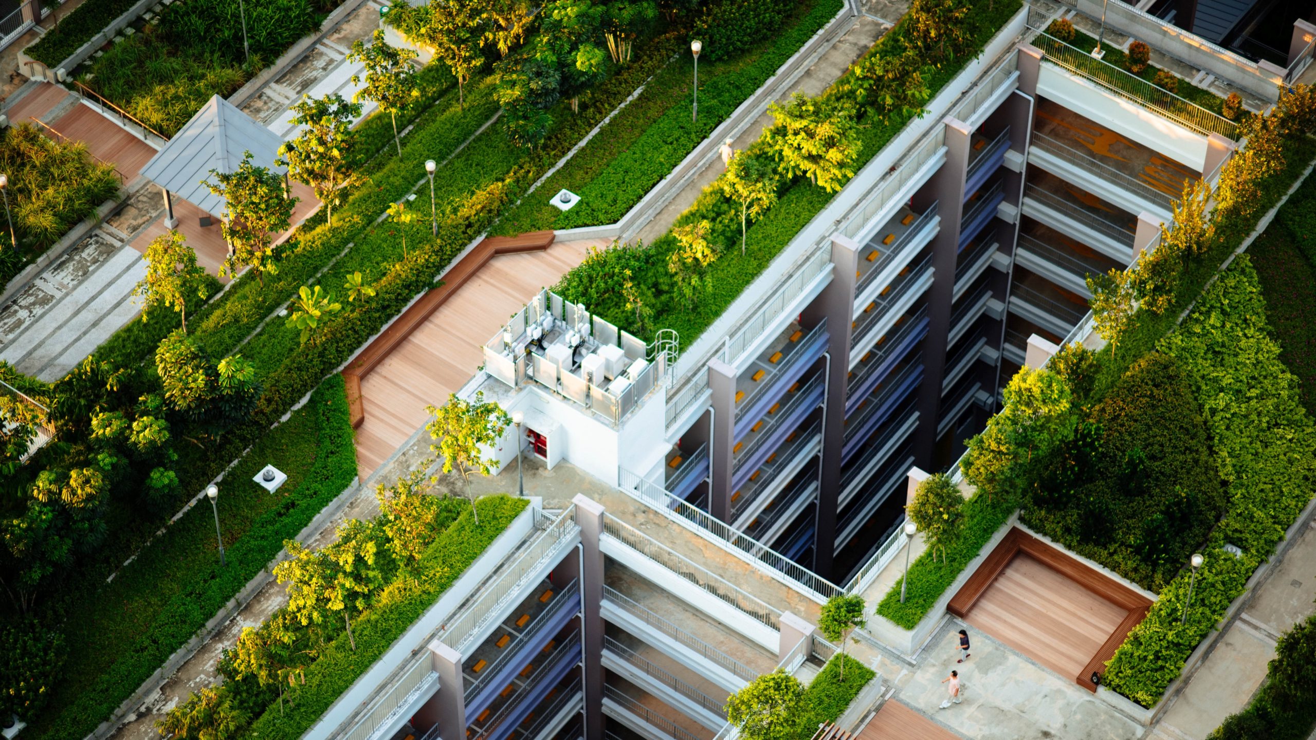 Bird's eye view of a green roof on a city building