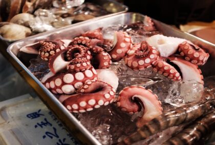 Tray of octopus tentacles on bed of ice