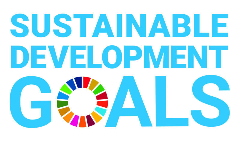 logo of United Nations Sustainable Development Goals that includes those words with a colorful wheel as the O in Goals