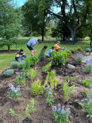 photo of University of Rochester students planting native plants in the expanded rain garden