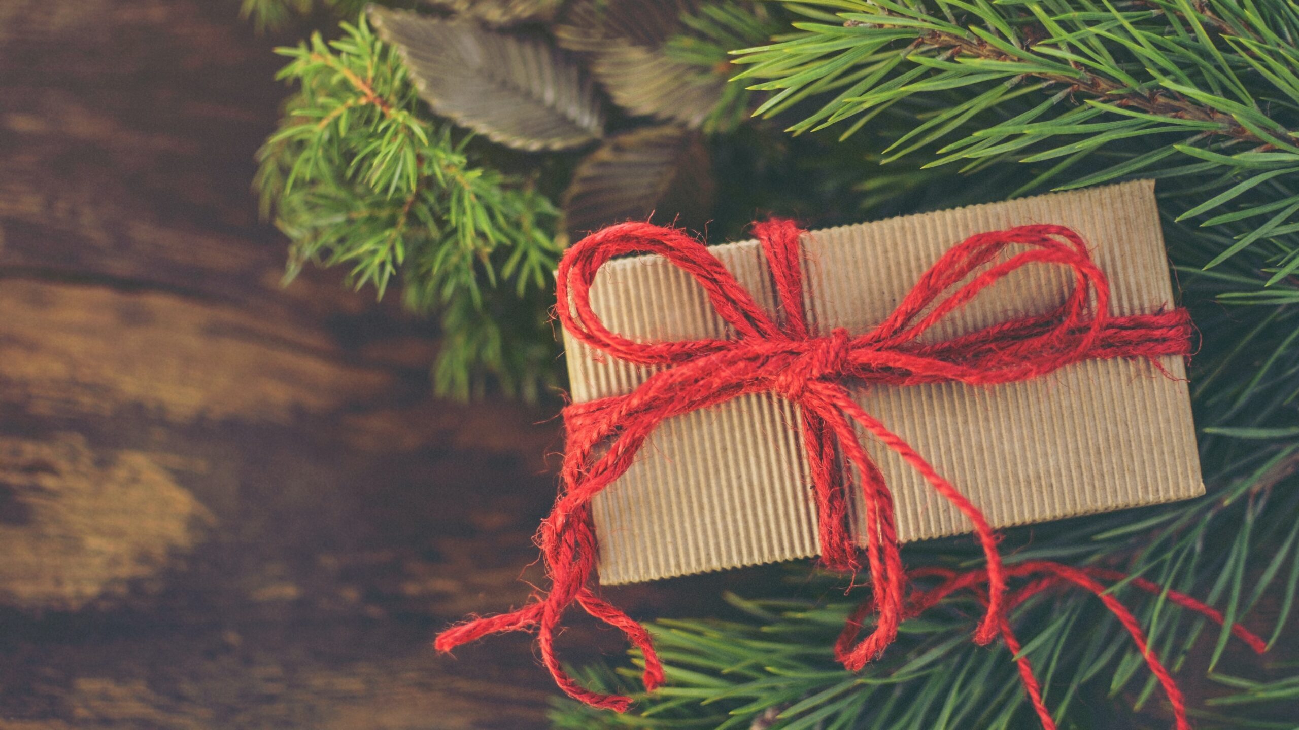 image of a small gift wrapped in blue ribbon and brown paper sitting on a sprig of pines