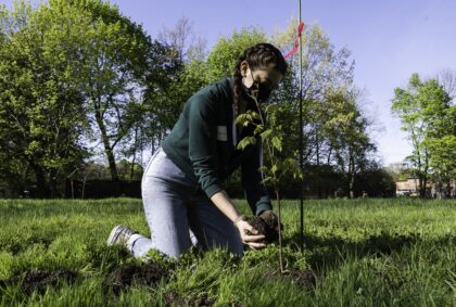student is kneeling on the grass while planting a tree in a field on campus